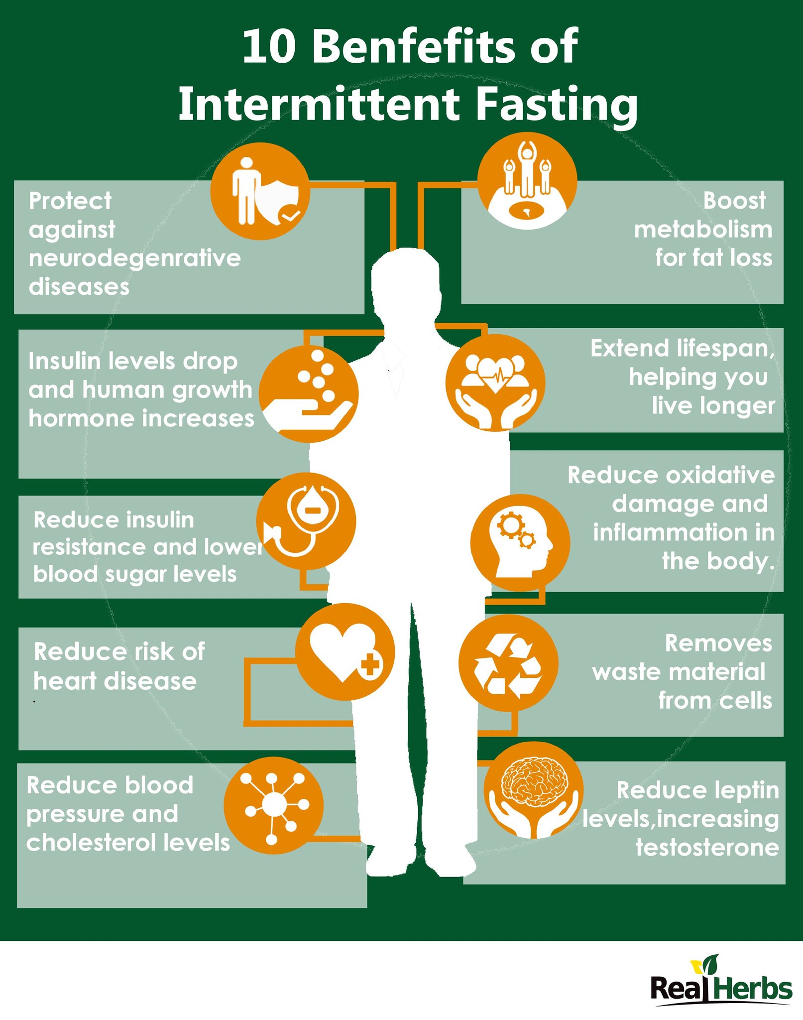 Role Of Intermittent Fasting On Your Testosterone Levels Capsu